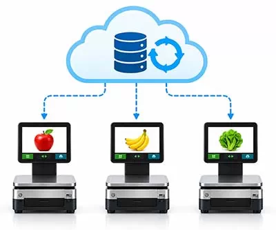 Multi-Scale Synchronization